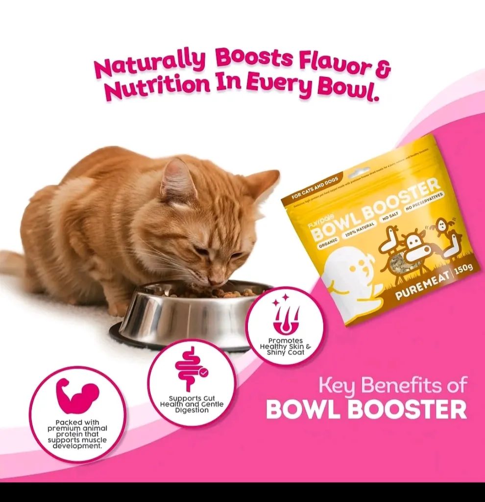 Bowl booster-pure meat_007.webp