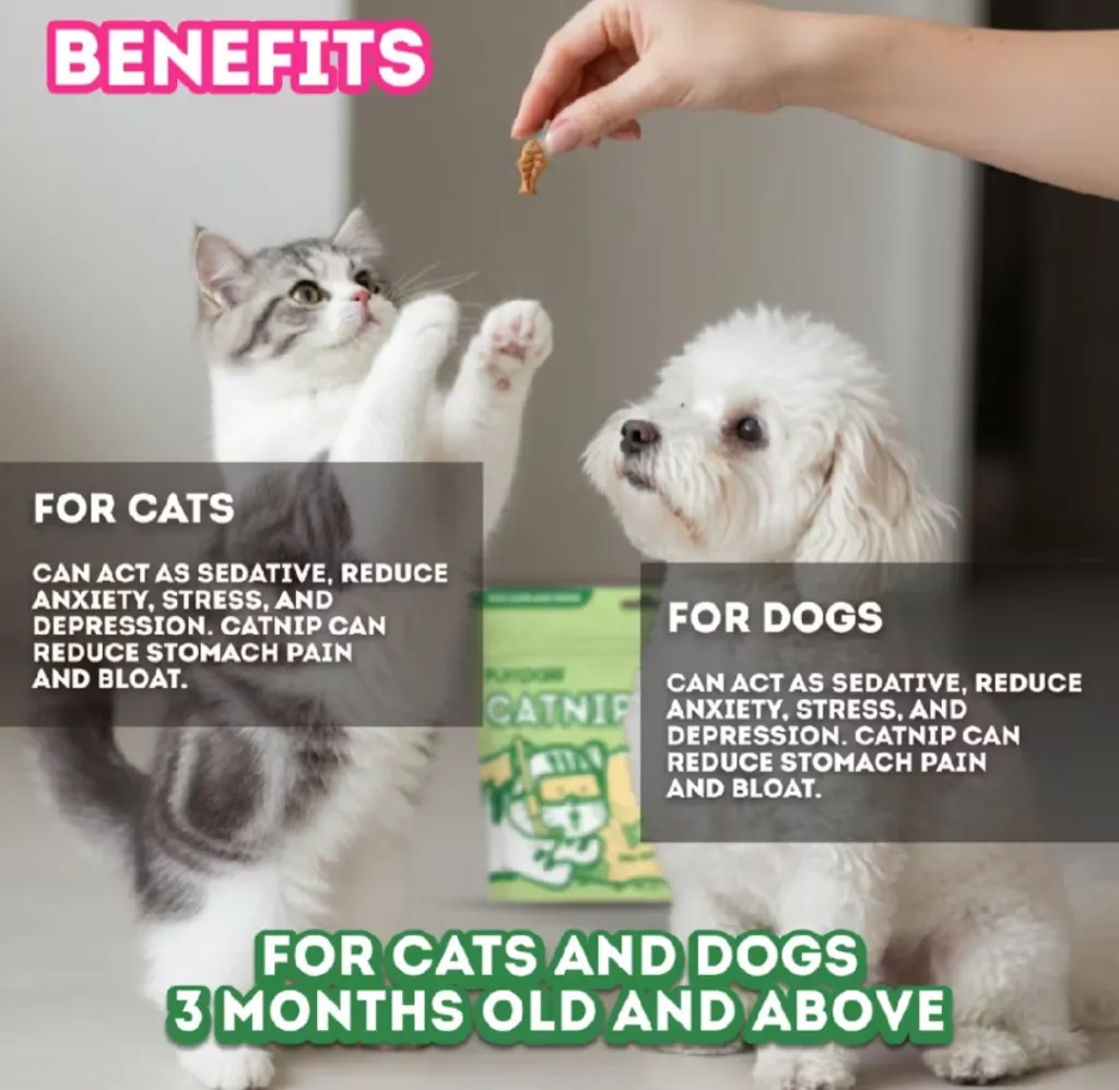 Catnip Biscuits_006.webp