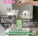 Catnip Biscuits_006.webp