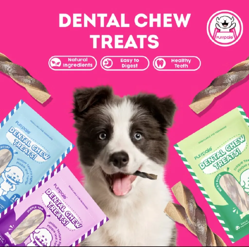Dental Chew Treats_001.webp