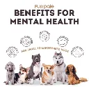 Dental Chew Treats_002.webp