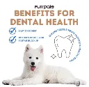 Dental Chew Treats_004.webp