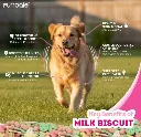 Milky Biscuits_008.webp