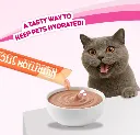 005.webp