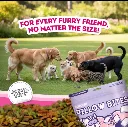 Pillow Biscuits_006.webp