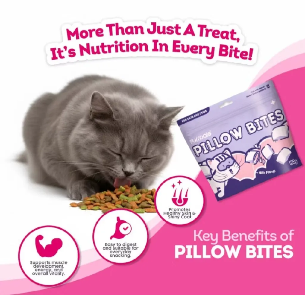 Pillow Biscuits_007.webp