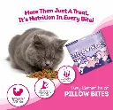 Pillow Biscuits_007.webp