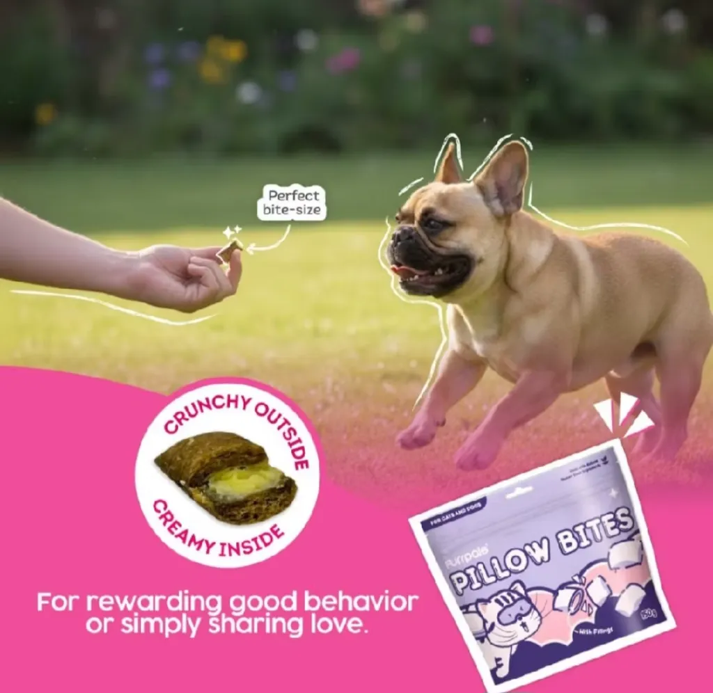 Pillow Biscuits_005.webp