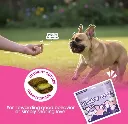 Pillow Biscuits_005.webp