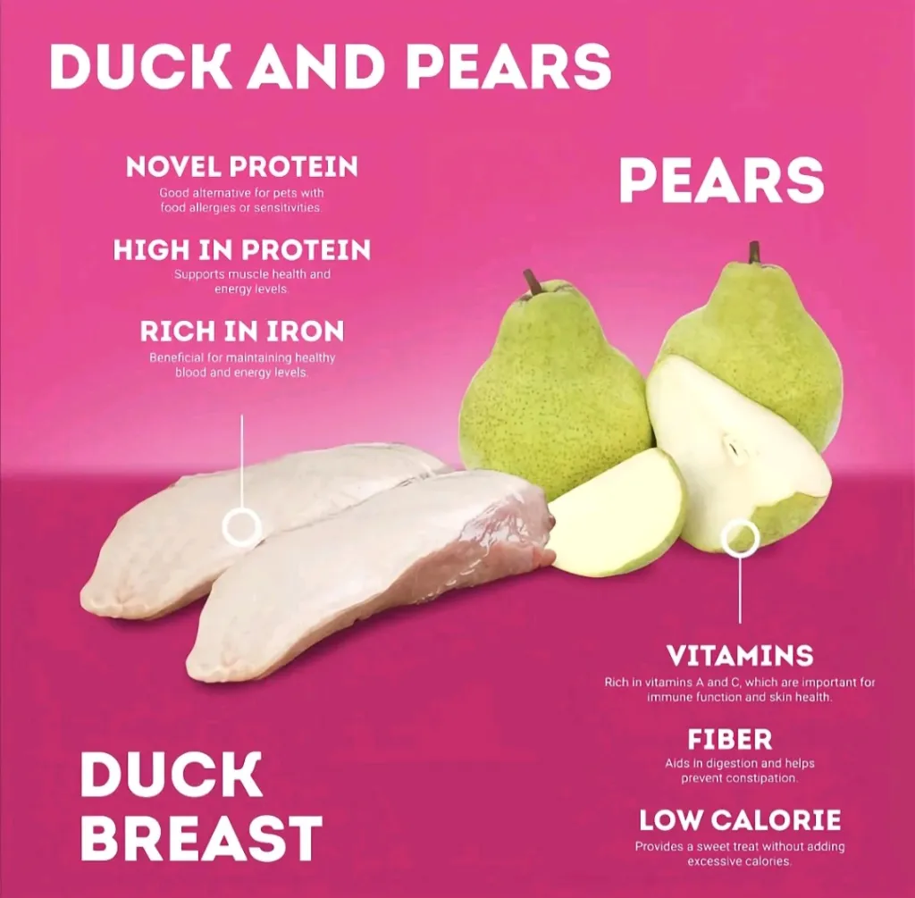 Duck pears_006.webp