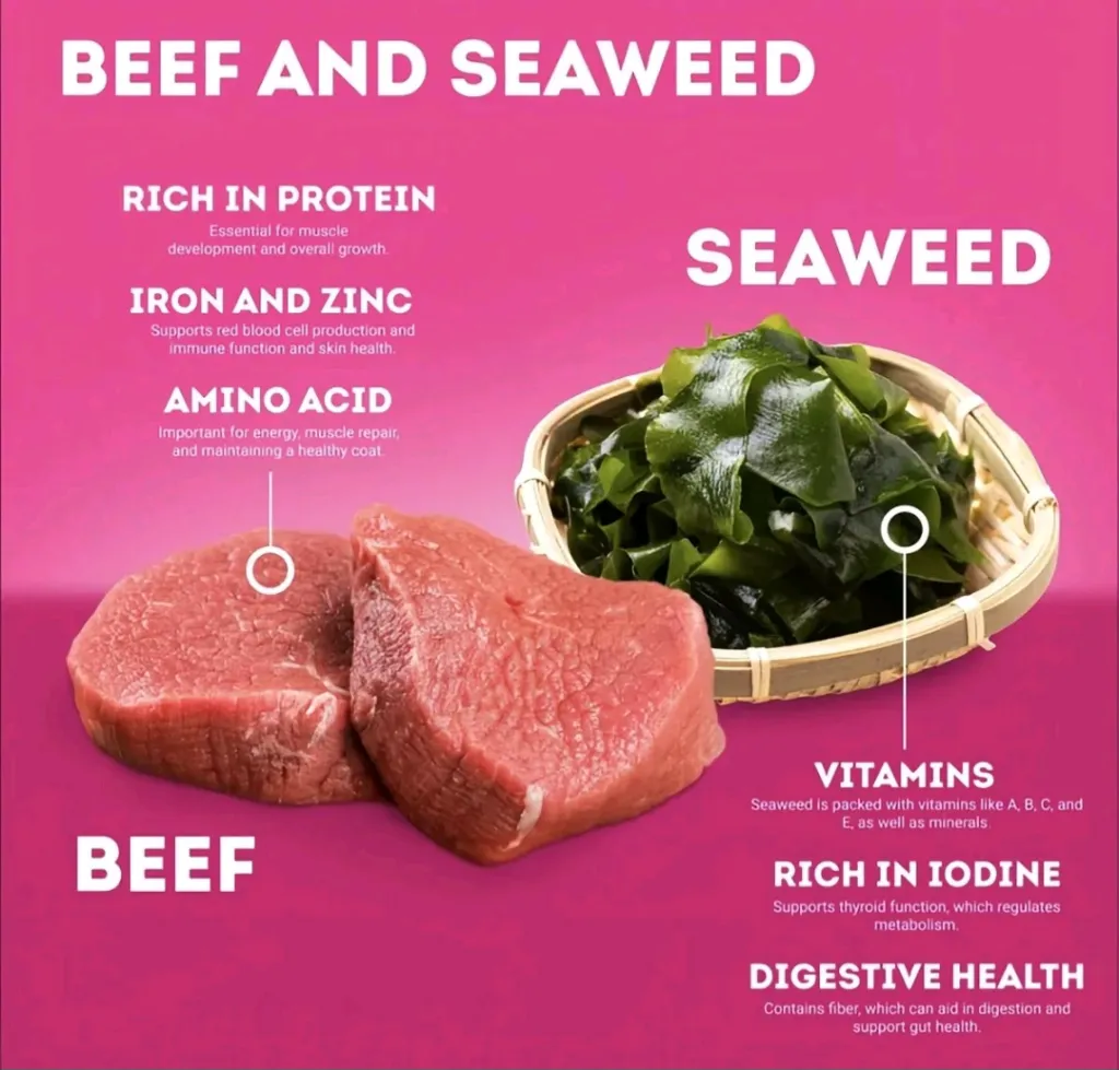 Beef Seaweeds_007.webp