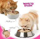 Bowl Booster Fruit & Vege_006.webp