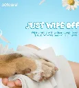 010.webp