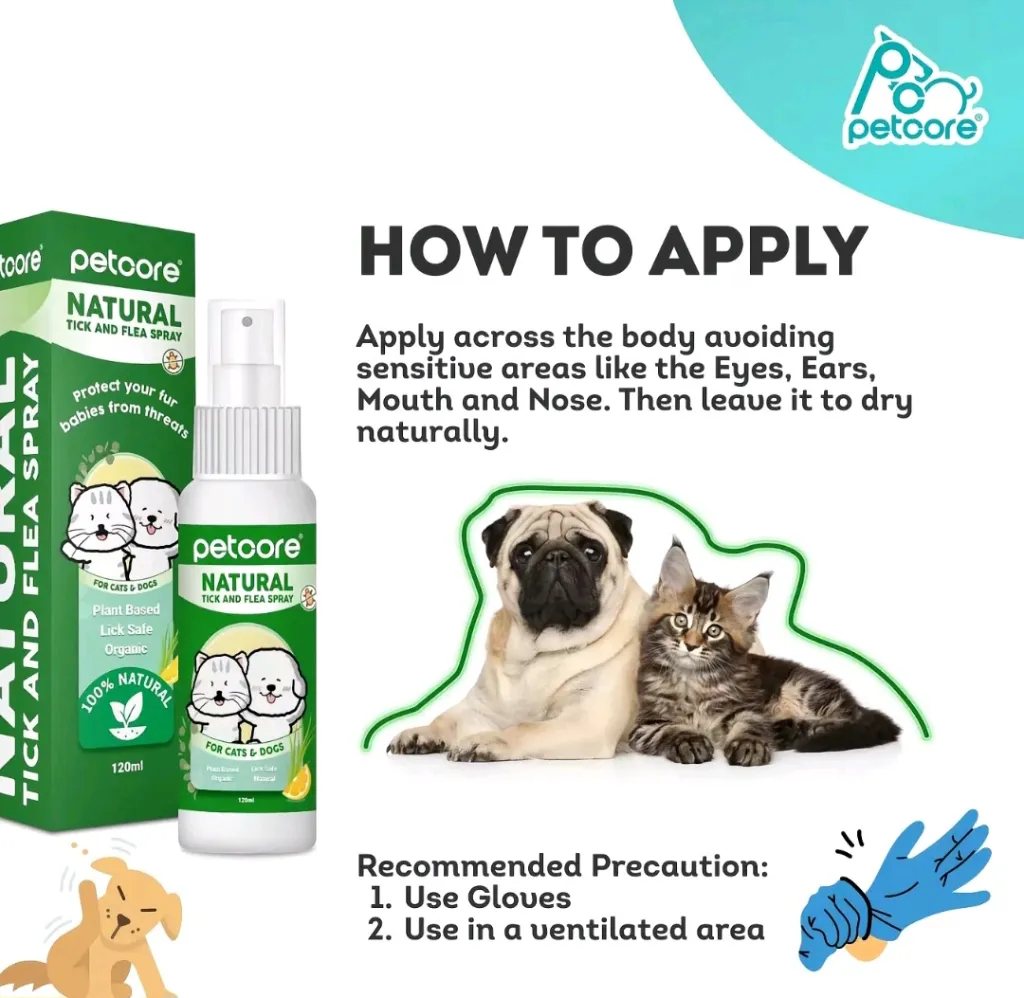 003.webp