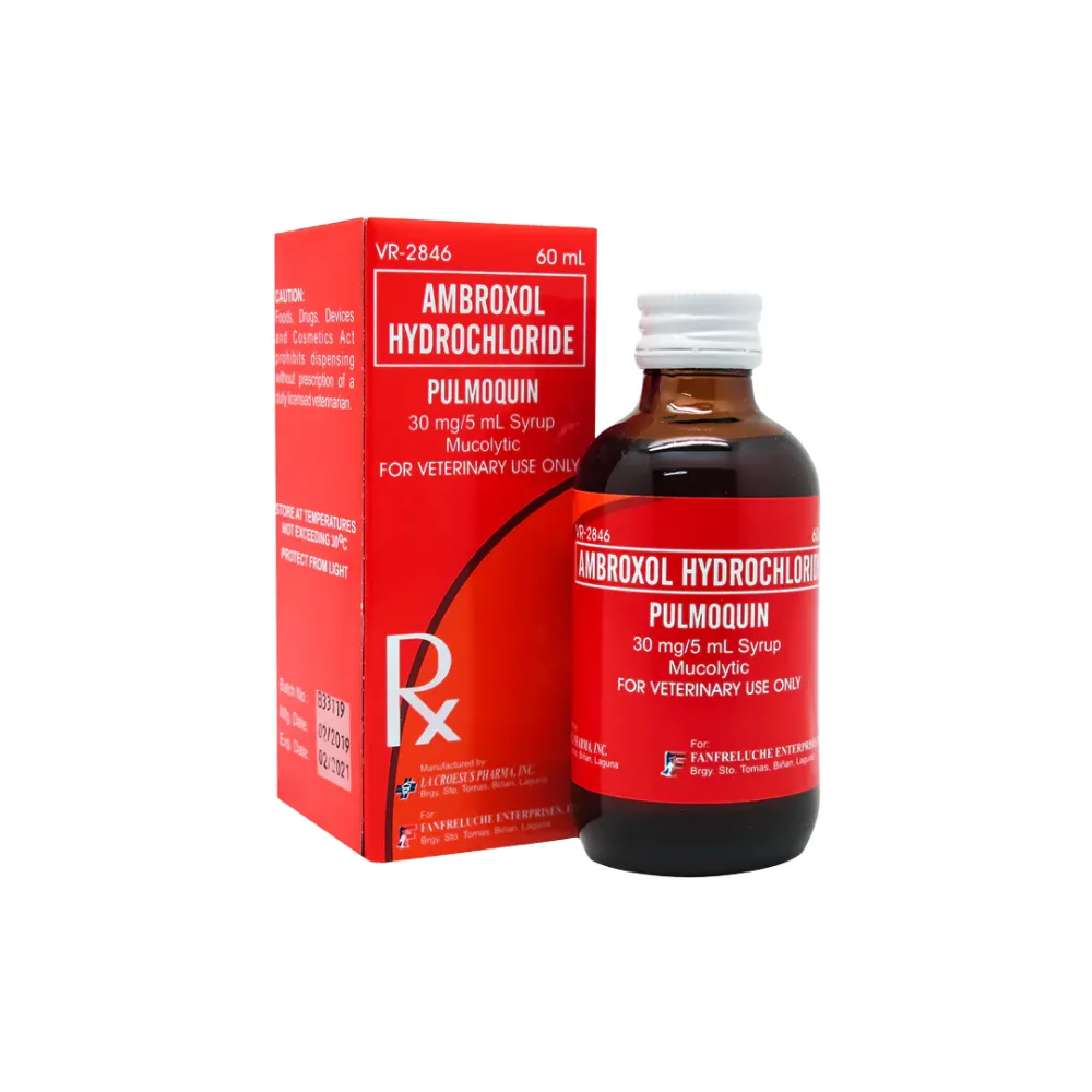 Pulmoquin Respiratory Syrup