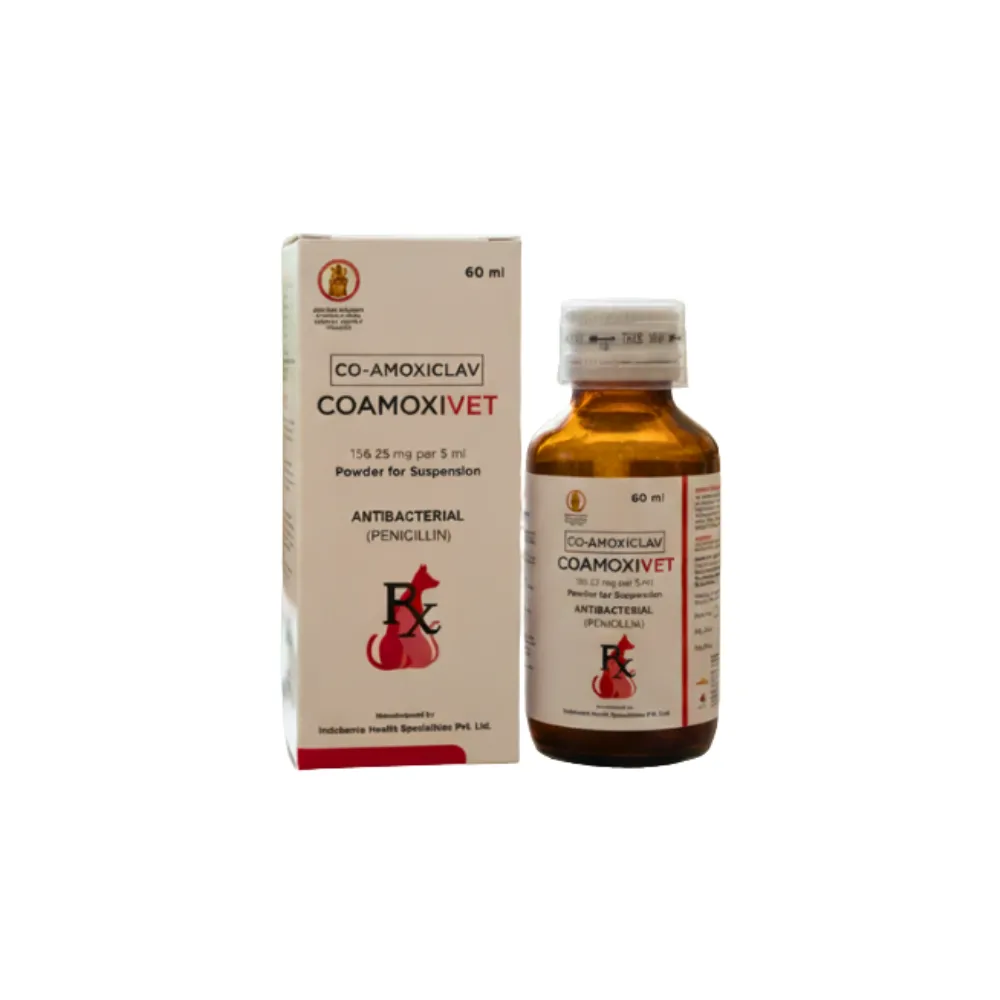 Coamoxivet Anti-Bacterial Syrup