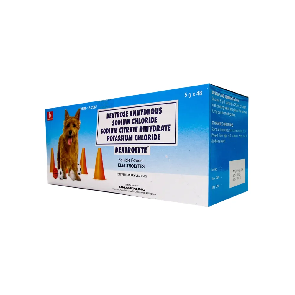Dextrolyte Electrolyte Sachet