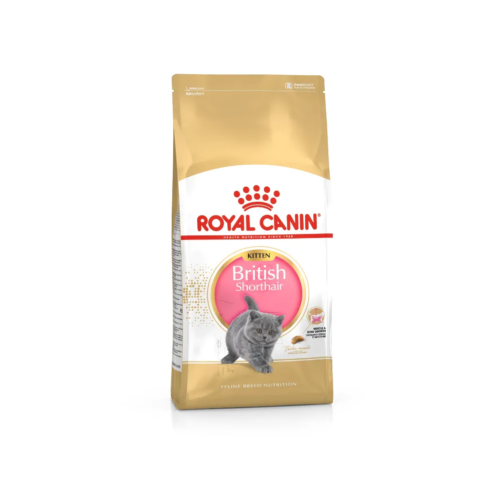 Royal Canin British Shorthair Kitten (2kg)