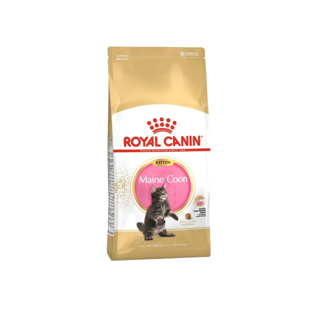Royal Canin Maine Coon Kitten