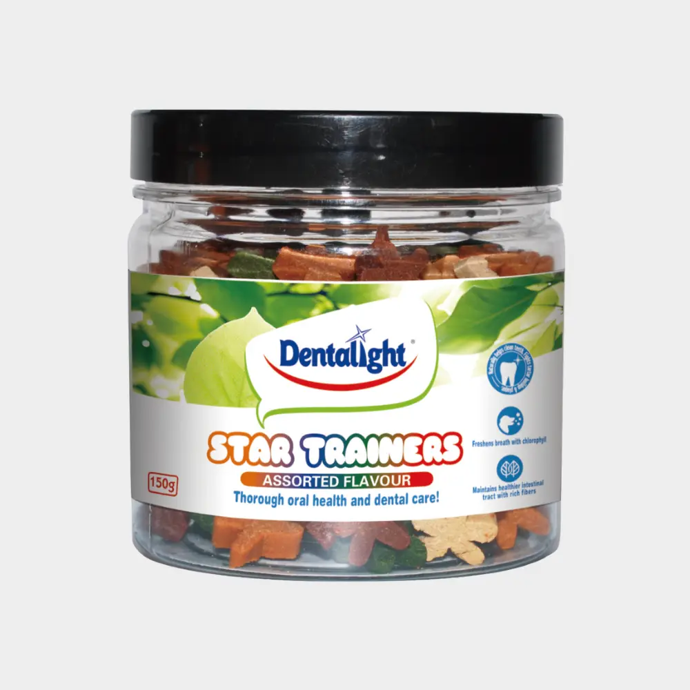 Dentalight Star Trainers